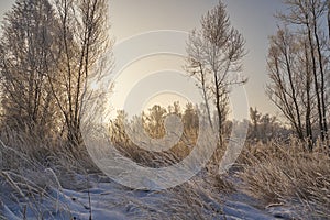 Breath of winter, first ice on the lake, dawn on a frosty morning with frost on the grass, close-up of frost, patterns on the