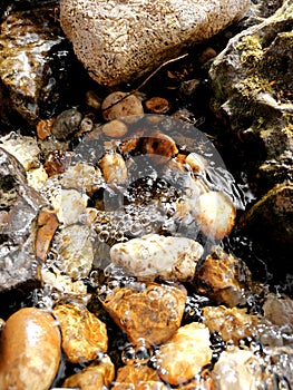Breathing water bubbles on the rocks