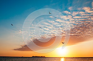 A breathless capture of the golden hour in Colonia Del Sacramento, Uruguay with a view to Rio De La Plata with birds flying