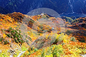 A breathtaking aerial view of a scenic cable car flying over the colorful autumn forests on the mountainside between Daikanbo Stat