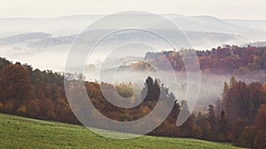 Breathtaking colorful autumn forest full of different types of trees covered in fog