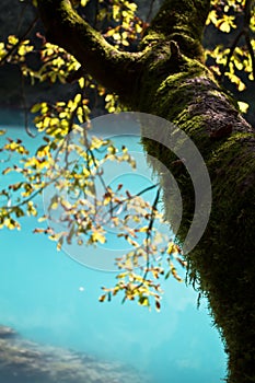 breathtaking colorful landscape with turquoise river soca as background