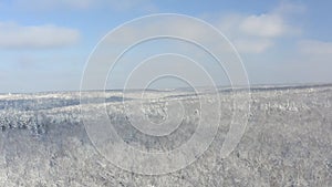 Breathtaking fly over frozen snowy fir and pine trees . Nature concept. Winter time, coziness, enjoying the landscape