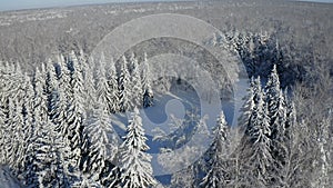 Breathtaking fly over frozen snowy fir and pine trees . Nature concept. Winter time, coziness, enjoying the landscape