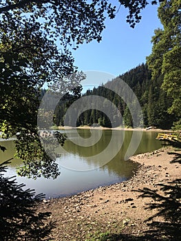 Breathtaking mountain lake view in summer. Sunny rural scenery with bright blue sky. Nature protection concept. Beautiful panorama