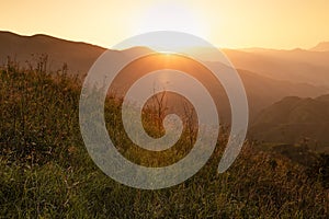 Breathtaking mountain landscape - bright golden sunset with sun, sunbeams, rays, glare above lush green grass meadow on slope