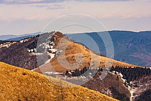 Breathtaking mountainous landscape with conifers between Velka Fatra and Nizke Tatry, Slovakia