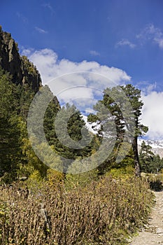 Breathtaking panorama of morning wild nature high in mountains