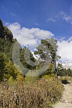 Breathtaking panorama of morning wild nature high in mountains