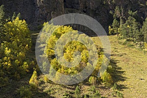 Breathtaking panorama of morning wild nature high in mountains