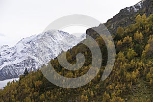 Breathtaking panorama of morning wild nature high in mountains