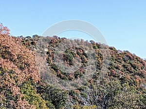 Mountain slope with mix of red, yellow, and green trees in CÃ³rdoba, Argentina photo