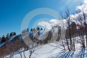 Breathtaking scenery on the snowy slopes of Vasilitsa ski center, Grevena, Greece