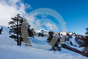 Breathtaking scenery on the snowy slopes of Vasilitsa ski center, Grevena, Greece