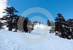 Breathtaking scenery on the snowy slopes of Vasilitsa ski center, Grevena, Greece