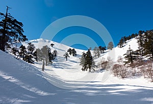 Breathtaking scenery on the snowy slopes of Vasilitsa ski center, Grevena, Greece