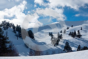 Breathtaking scenery on the snowy slopes of Vasilitsa ski center, Grevena, Greece