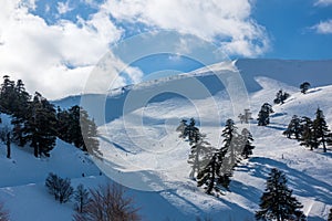 Breathtaking scenery on the snowy slopes of Vasilitsa ski center, Grevena, Greece