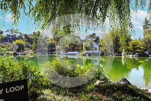 A breathtaking shot of a Japanese garden with deep green lake water and lush green trees reflecting off the lake with blue sky and