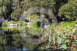 A breathtaking shot of a a stone bridge over a like with deep green lake water and lush green trees reflecting off the lake with b