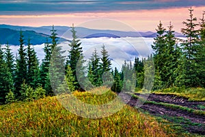 Breathtaking summer scene of Carpathian mountains. Few minutes before sunrise, fog wraping mountain valley. Lisniv ridge, Ukraione