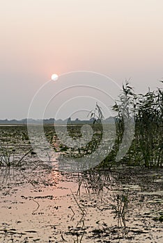 Breathtaking sunset in Danube Delta,  Romania,  in a summer day