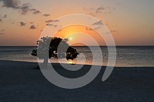 Breathtaking Sunset on Eagle Beach in Aruba