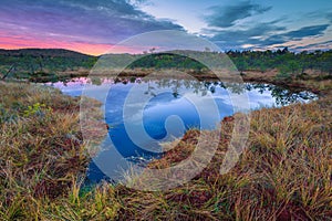 Breathtaking Tinovul Mohos with small lake at sunrise, Transylvania, Romania