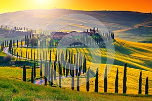 Breathtaking Tuscany landscape with curved road and cypresses trees, Italy