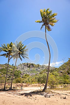 Breathtaking vertical image of the scenic Pi Bay in Townsville, Queensland, Australia