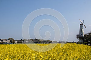Breathtaking view of a bright yellow rapeseed field and a majestic white windmill of a small town