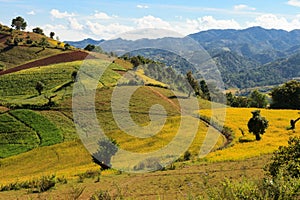 The breathtaking view of the colourful rolllings hills of the Kalaw highlands as seen when trekking from Kalaw to Inle