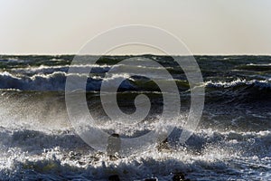 Breathtaking view of dark stormy foamy sea waves crashing against wooden piles of breakwater