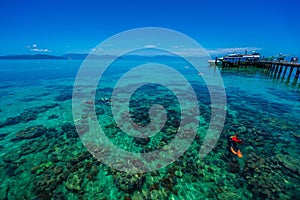 Breathtaking view of the Great Barrier Reef with scuba divers exploring the corals