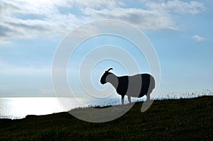 Breathtaking view of the Isle of Skye coast