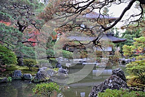 Breathtaking view on japanese garden in autumn. Beautiful maple trees around the pool with big stones