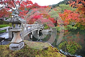 Breathtaking view on japanese garden in autumn. Beautiful maple trees around the pool with big stones.