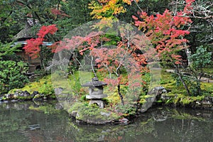 Breathtaking view on japanese garden in autumn. Beautiful maple trees around the pool with big stones.