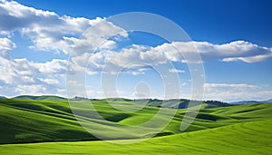 Breathtaking view of lush green fields under a serene blue sky with fluffy white clouds