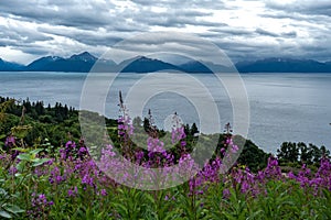 Breathtaking view on mountains and ocean bay close to Homer Alaska