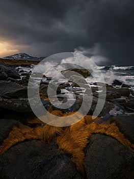 Breathtaking view of an ocean wave crashing against a rocky shoreline in Norway