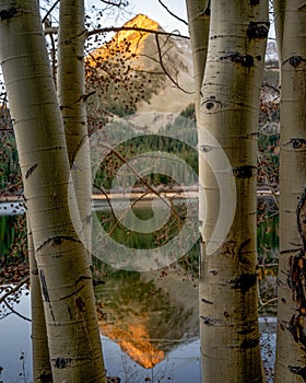 A view on a reflection of East Beckwith Mountain, Colorado, on the Lost Lake's surface photo