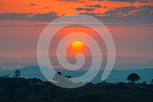 Breathtaking view of a tropical jungle with the beautiful sunset captured in Kenya, Nairobi, Samburu photo