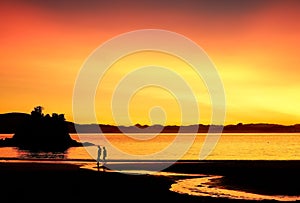 Breathtaking view of Tutukaka Coast and yellowish-orange sky during golden hour in New Zealand