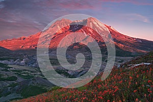 The breathtaking views of the volcano and amazing valley of flowers. Harry`s Ridge Trail. Mount St Helens National Park. USA photo