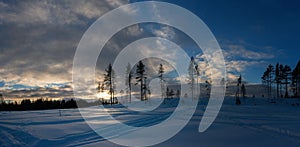 Breathtaking Winter Sunset panorama photo from low height over Snow Covered Forest Landscape In Northern Sweden, Umea. Clear cut