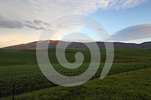 Breautiful views of the hills of the Drakensberg Range, South Africa.