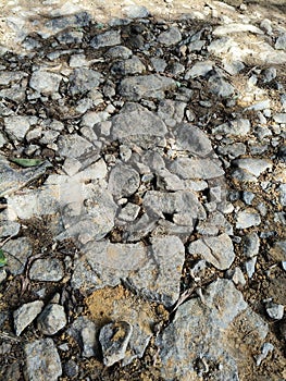 Breccia is a type of clastic sedimentary rock composed of angular rock