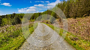 Forest hiking and cycling trails