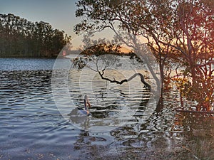 Breckenridge Channel in Wallis Lake Lake @ Forster New South Wales Australia